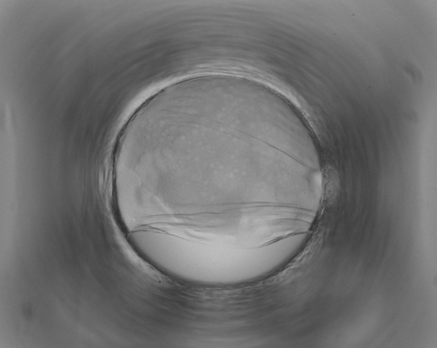 X0000111211515200908121121