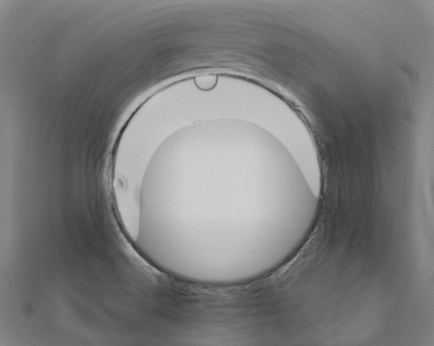 X0000111211516200908121121