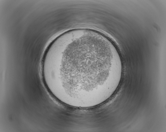 X0000111211517200908121121