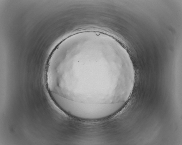 X0000111211518200908121121