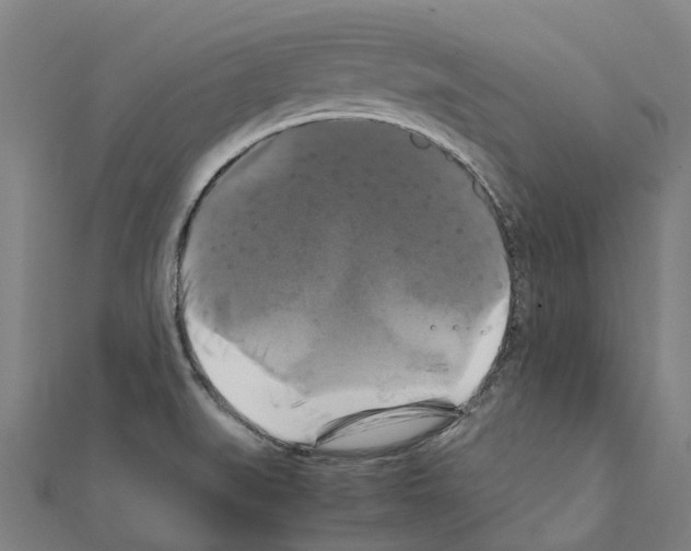 X0000111211519200908121121