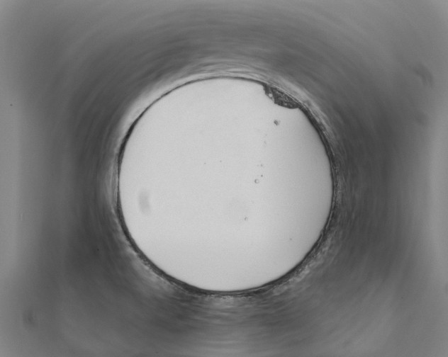 X0000111211520200908121121