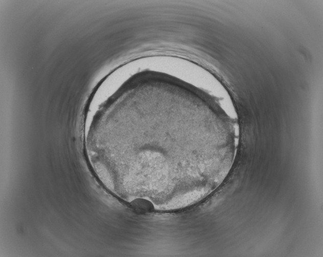 X0000111211522200908121121