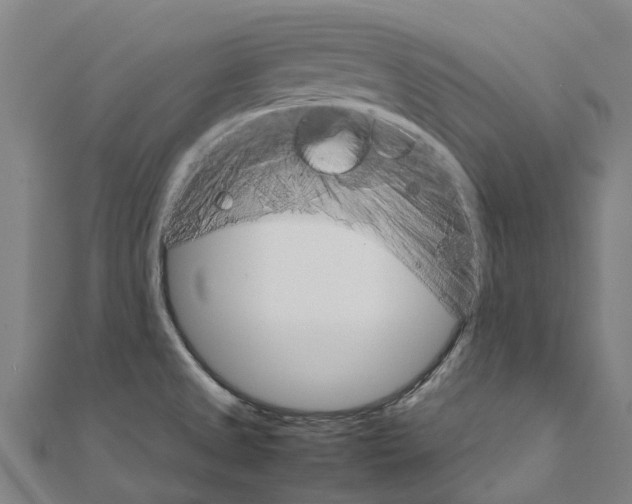 X0000111211525200908121121