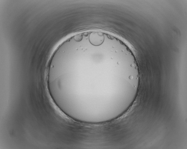 X0000111211526200908121121