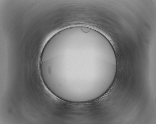 X0000111211527200908121121