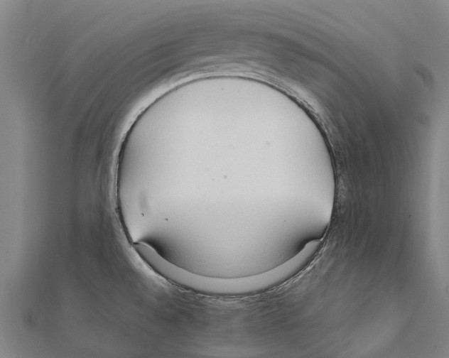 X0000111211528200908121121