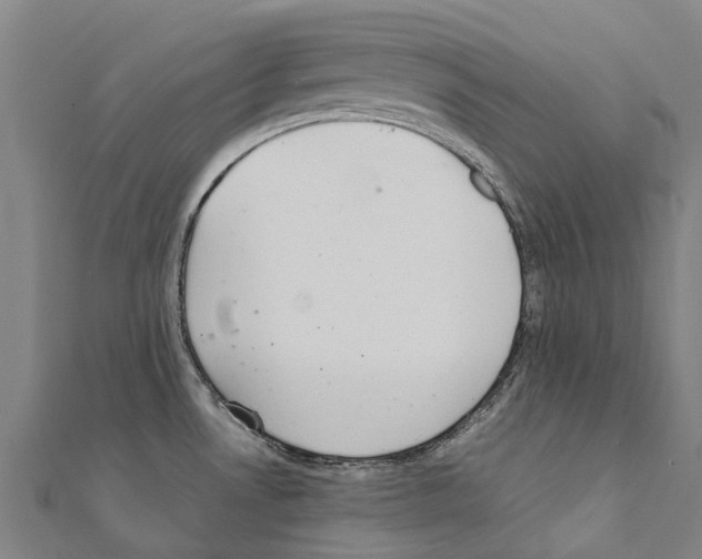 X0000111211530200908121121