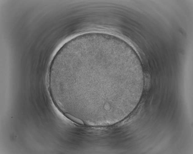 X0000111211531200908121121