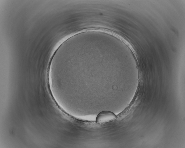 X0000111211533200908121121