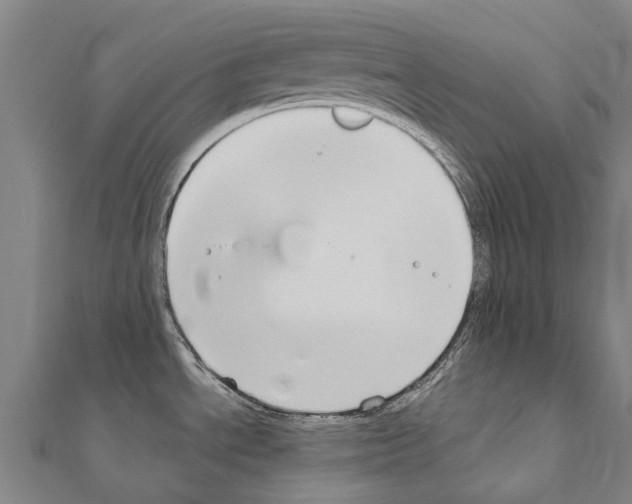 X0000111211534200908121121