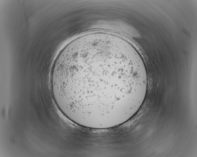 X0000111211535200908121121