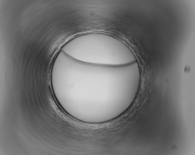 X0000111220002200907021011