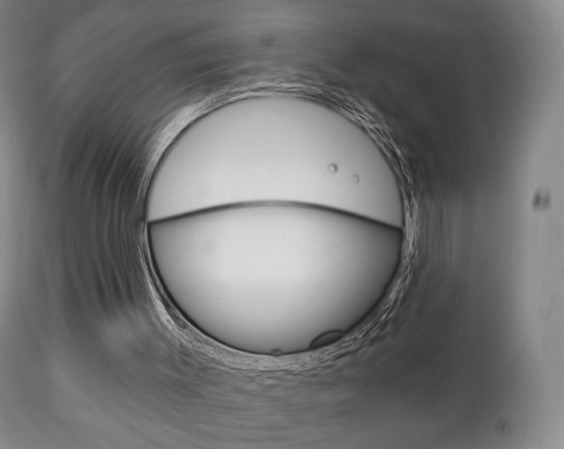 X0000111220003200907021011