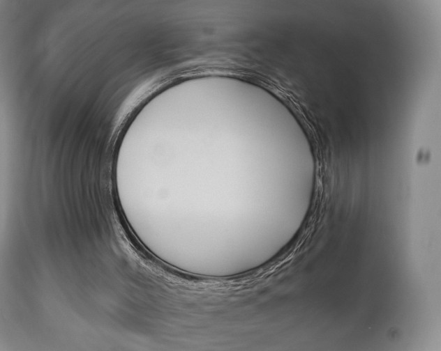 X0000111220004200907021011