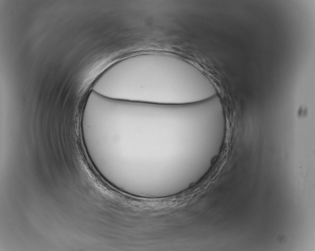 X0000111220005200907021011