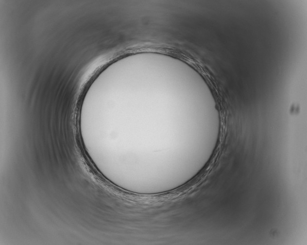 X0000111220006200907021011