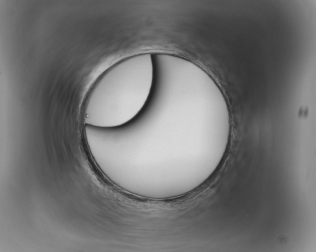 X0000111220008200907021011
