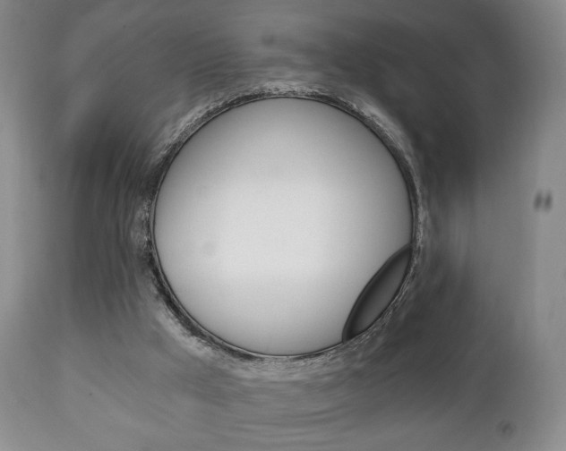 X0000111220009200907021011