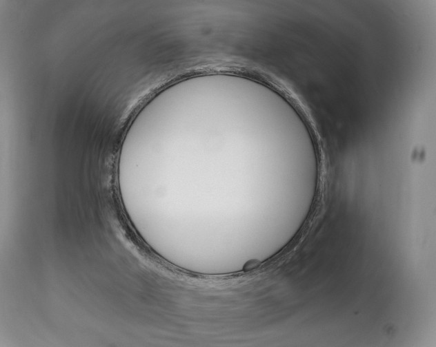 X0000111220010200907021011