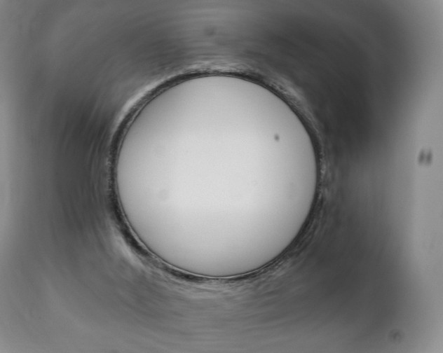 X0000111220012200907021011