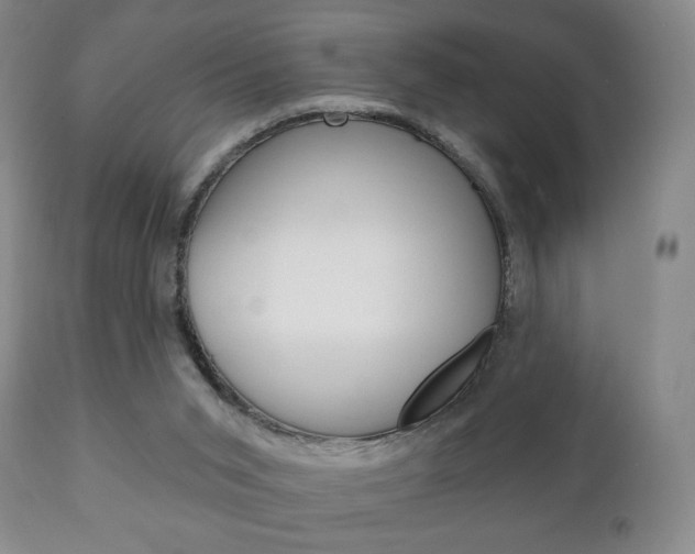 X0000111220015200907021011