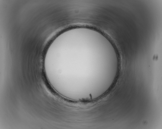 X0000111220016200907021011