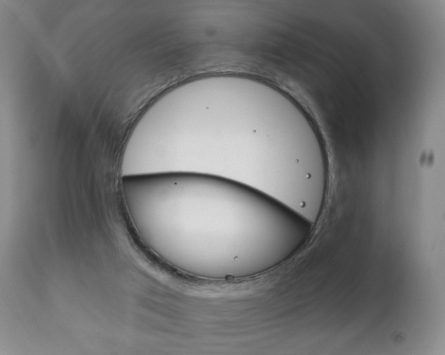 X0000111220017200907021011
