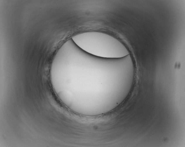 X0000111220018200907021011