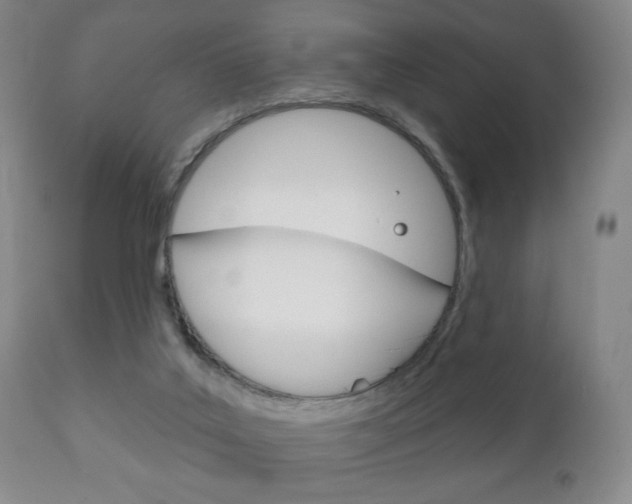 X0000111220019200907021011