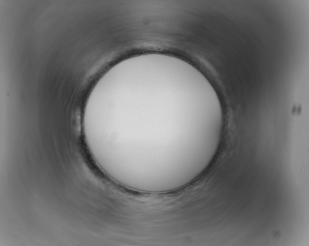 X0000111220020200907021011