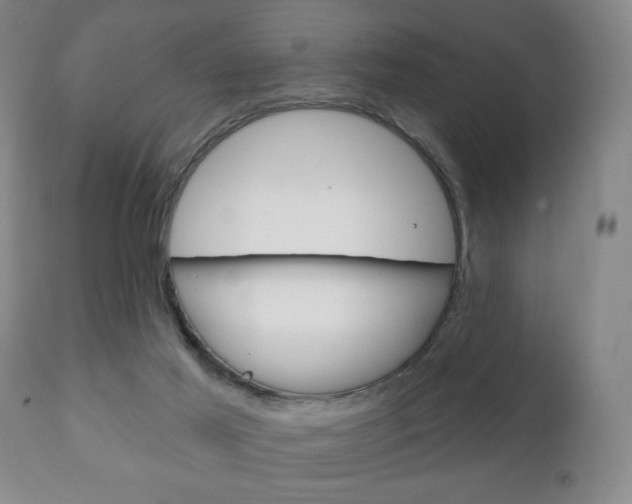 X0000111220021200907021011