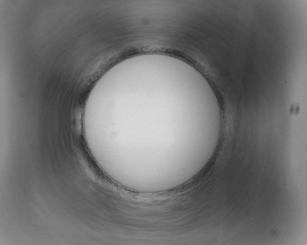 X0000111220022200907021011