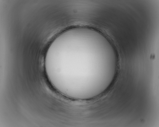 X0000111220024200907021011