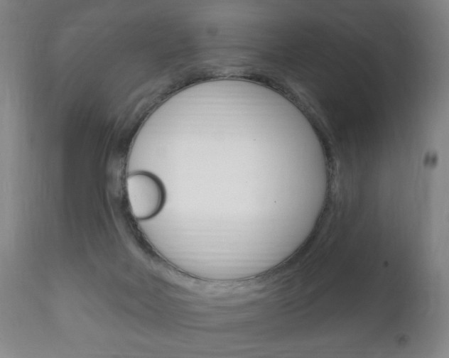 X0000111220026200907021011