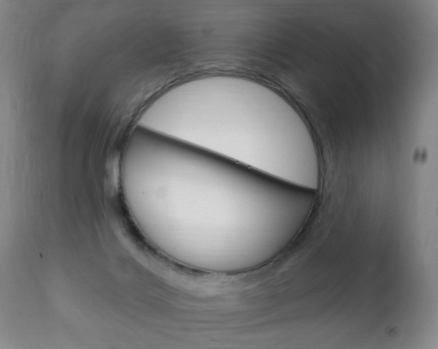 X0000111220028200907021011