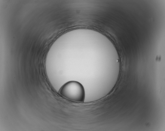 X0000111220029200907021011