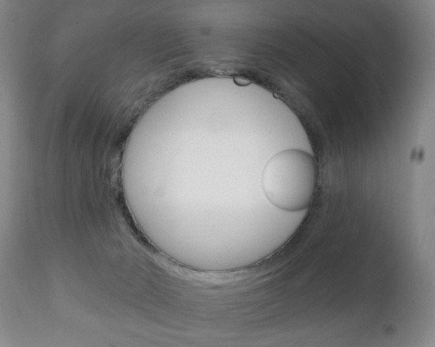 X0000111220030200907021011