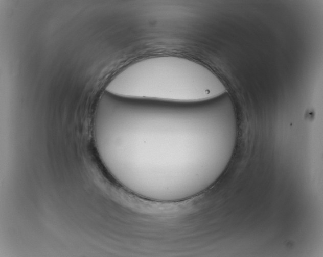 X0000111220031200907021011