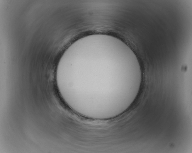 X0000111220032200907021011