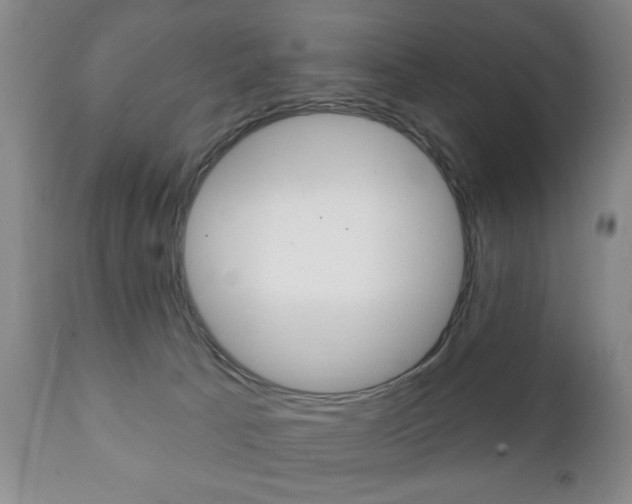X0000111220033200907021011