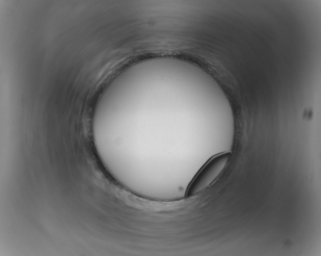 X0000111220035200907021010