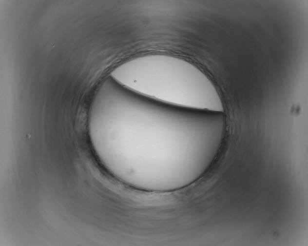 X0000111220036200907021010