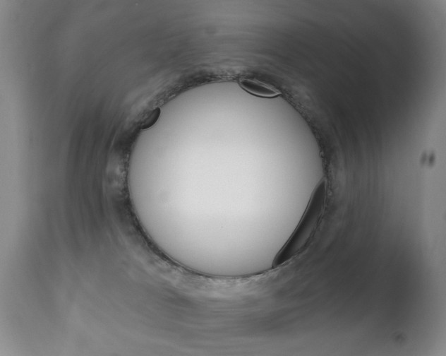 X0000111220037200907021010