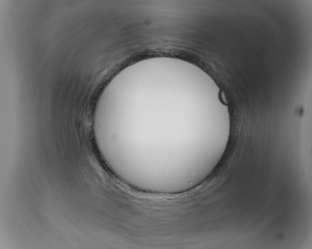 X0000111220040200907021010