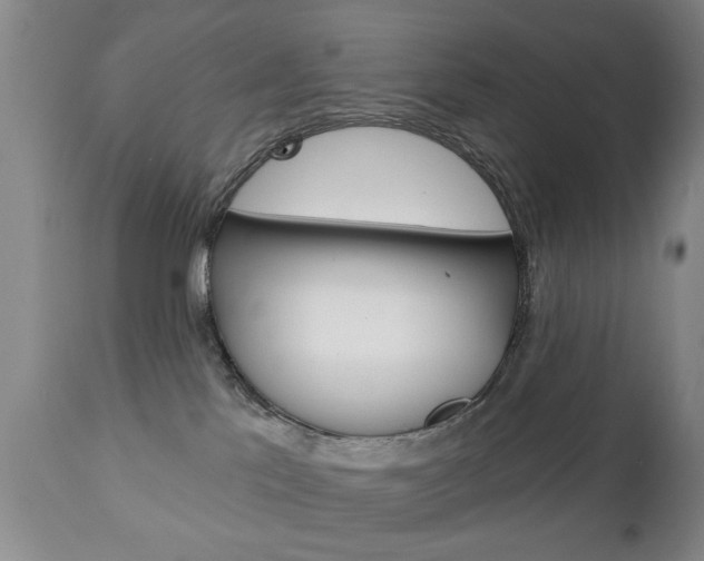 X0000111220041200907021010