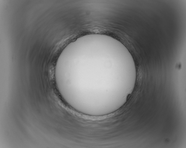 X0000111220043200907021010