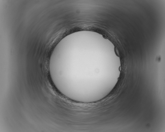 X0000111220044200907021010