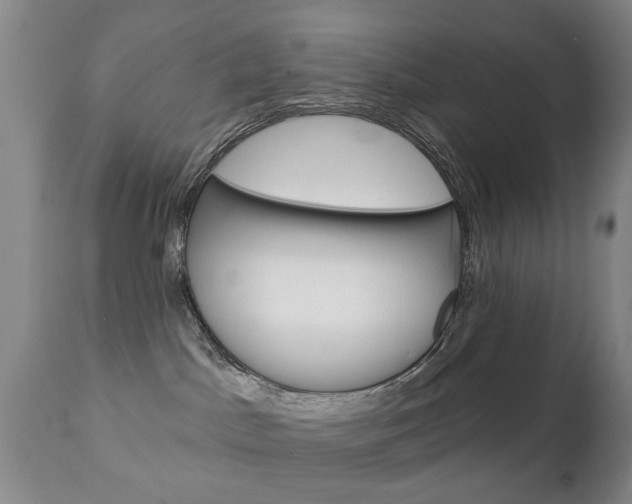 X0000111220045200907021010