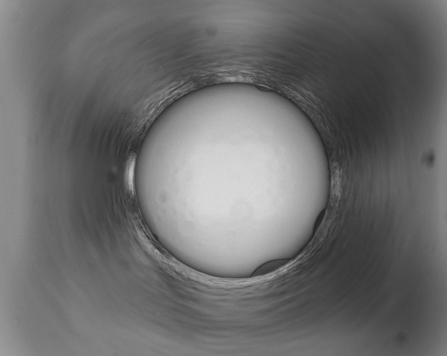 X0000111220047200907021010